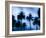 Palms along Ocean Avenue, Santa Monica, Los Angeles, California, USA-Walter Bibikow-Framed Photographic Print