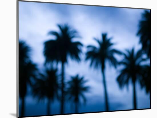 Palms along Ocean Avenue, Santa Monica, Los Angeles, California, USA-Walter Bibikow-Mounted Photographic Print