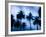 Palms along Ocean Avenue, Santa Monica, Los Angeles, California, USA-Walter Bibikow-Framed Photographic Print