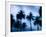 Palms along Ocean Avenue, Santa Monica, Los Angeles, California, USA-Walter Bibikow-Framed Photographic Print