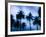 Palms along Ocean Avenue, Santa Monica, Los Angeles, California, USA-Walter Bibikow-Framed Photographic Print