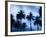 Palms along Ocean Avenue, Santa Monica, Los Angeles, California, USA-Walter Bibikow-Framed Photographic Print