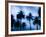 Palms along Ocean Avenue, Santa Monica, Los Angeles, California, USA-Walter Bibikow-Framed Photographic Print