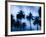 Palms along Ocean Avenue, Santa Monica, Los Angeles, California, USA-Walter Bibikow-Framed Photographic Print