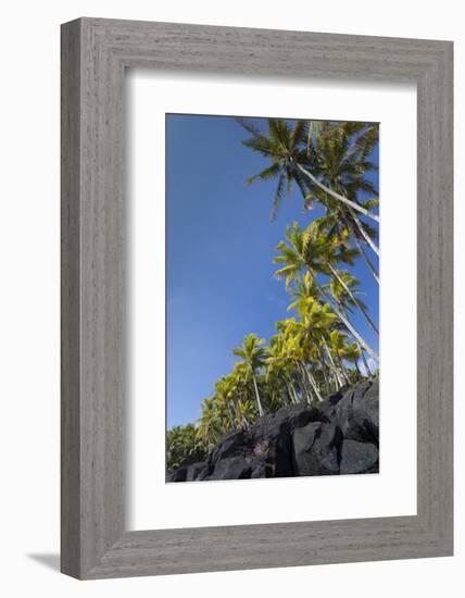 Palms along the Puna Coast, Big Island, Hawaii, (Before the lava flow of 2018)-Maresa Pryor-Framed Photographic Print