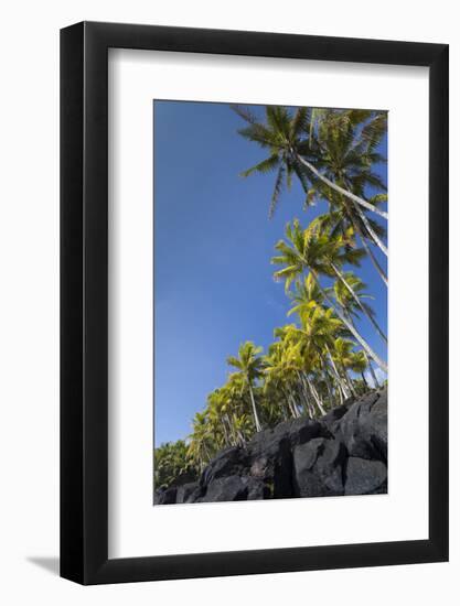 Palms along the Puna Coast, Big Island, Hawaii, (Before the lava flow of 2018)-Maresa Pryor-Framed Photographic Print