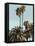 Palms And Beach 1, 2024-David Moore-Framed Stretched Canvas