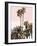 Palms And Beach 3, 2024-David Moore-Framed Art Print