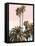 Palms And Beach 3, 2024-David Moore-Framed Stretched Canvas