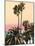 Palms And Beach 4, 2024-David Moore-Mounted Art Print