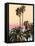 Palms And Beach 4, 2024-David Moore-Framed Stretched Canvas