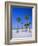 Palms and Beach, Clearwater Beach, Florida, USA-Fraser Hall-Framed Photographic Print