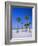 Palms and Beach, Clearwater Beach, Florida, USA-Fraser Hall-Framed Photographic Print