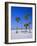 Palms and Beach, Clearwater Beach, Florida, USA-Fraser Hall-Framed Photographic Print