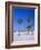 Palms and Beach, Clearwater Beach, Florida, USA-Fraser Hall-Framed Photographic Print