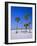 Palms and Beach, Clearwater Beach, Florida, USA-Fraser Hall-Framed Photographic Print