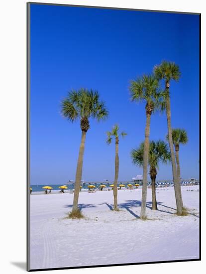 Palms and Beach, Clearwater Beach, Florida, USA-Fraser Hall-Mounted Photographic Print