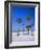 Palms and Beach, Clearwater Beach, Florida, USA-Fraser Hall-Framed Photographic Print