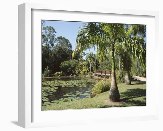 Palms and Centenary Lakes, Cairns, Queensland, Australia-Ken Gillham-Framed Photographic Print