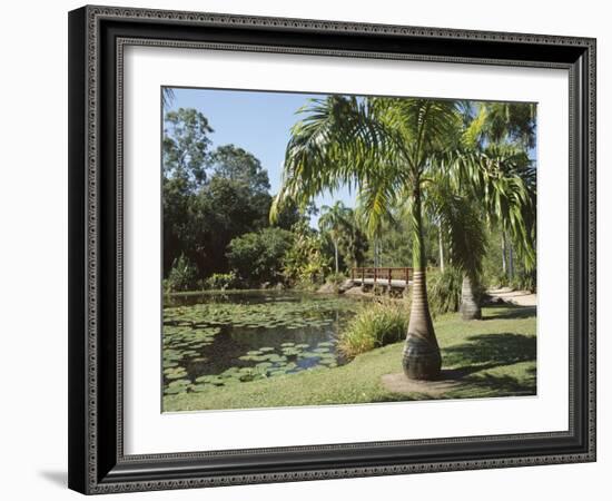 Palms and Centenary Lakes, Cairns, Queensland, Australia-Ken Gillham-Framed Photographic Print