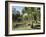 Palms and Centenary Lakes, Cairns, Queensland, Australia-Ken Gillham-Framed Photographic Print