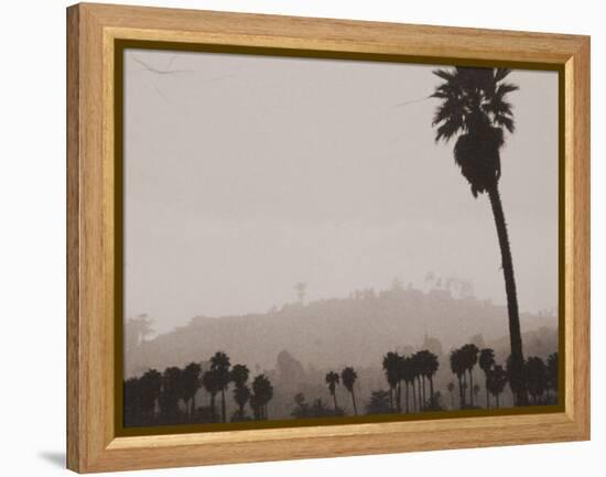 Palms and Hill-Graeme Harris-Framed Premier Image Canvas