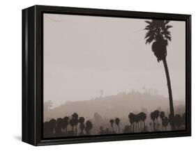 Palms and Hill-Graeme Harris-Framed Premier Image Canvas