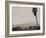 Palms and Hill-Graeme Harris-Framed Photographic Print