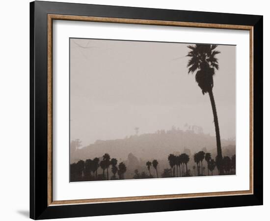 Palms and Hill-Graeme Harris-Framed Photographic Print