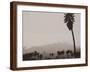 Palms and Hill-Graeme Harris-Framed Photographic Print