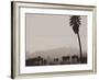 Palms and Hill-Graeme Harris-Framed Photographic Print