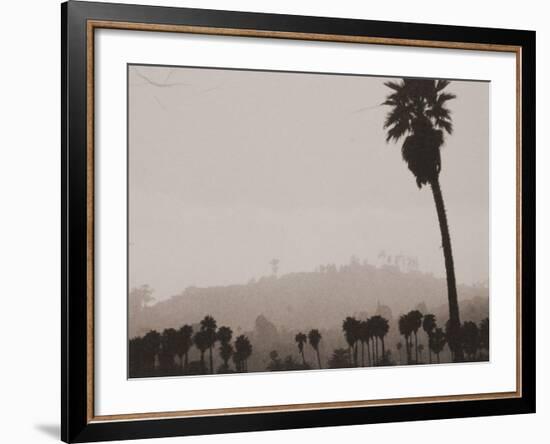 Palms and Hill-Graeme Harris-Framed Photographic Print