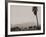 Palms and Hill-Graeme Harris-Framed Photographic Print