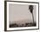 Palms and Hill-Graeme Harris-Framed Photographic Print