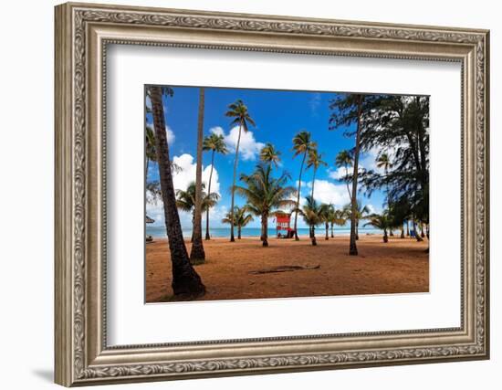 Palms And Lifeguard Hut, Luquillo Beach, Pr-George Oze-Framed Photographic Print