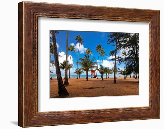 Palms And Lifeguard Hut, Luquillo Beach, Pr-George Oze-Framed Photographic Print