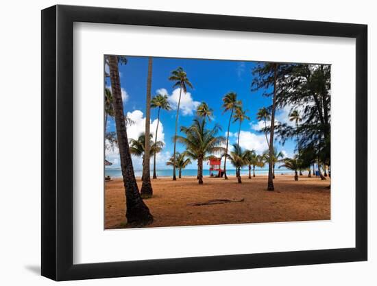 Palms And Lifeguard Hut, Luquillo Beach, Pr-George Oze-Framed Photographic Print