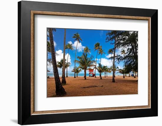 Palms And Lifeguard Hut, Luquillo Beach, Pr-George Oze-Framed Photographic Print