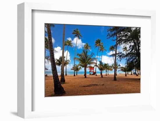 Palms And Lifeguard Hut, Luquillo Beach, Pr-George Oze-Framed Photographic Print