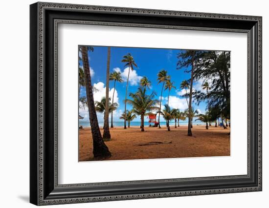 Palms And Lifeguard Hut, Luquillo Beach, Pr-George Oze-Framed Photographic Print