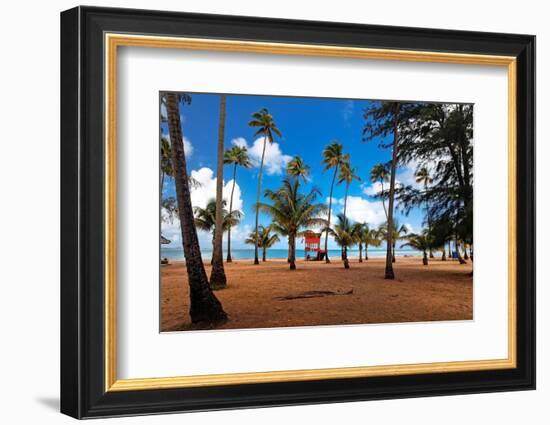 Palms And Lifeguard Hut, Luquillo Beach, Pr-George Oze-Framed Photographic Print