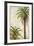 Palms and Scrolls I-Patricia Pinto-Framed Art Print