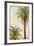 Palms and Scrolls I-Patricia Pinto-Framed Art Print