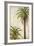 Palms and Scrolls I-Patricia Pinto-Framed Art Print