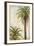 Palms and Scrolls I-Patricia Pinto-Framed Art Print