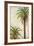 Palms and Scrolls I-Patricia Pinto-Framed Art Print