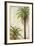 Palms and Scrolls I-Patricia Pinto-Framed Art Print