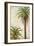 Palms and Scrolls I-Patricia Pinto-Framed Premium Giclee Print