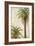 Palms and Scrolls I-Patricia Pinto-Framed Premium Giclee Print