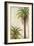 Palms and Scrolls I-Patricia Pinto-Framed Premium Giclee Print